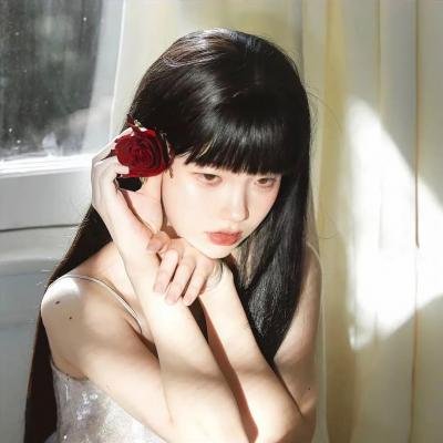 蝙蝠侠：神秘的女蝙蝠侠