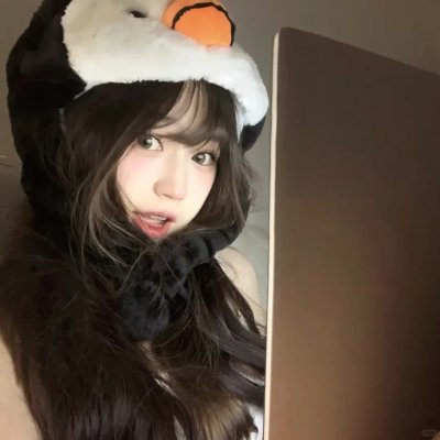 飞燕惊鸿